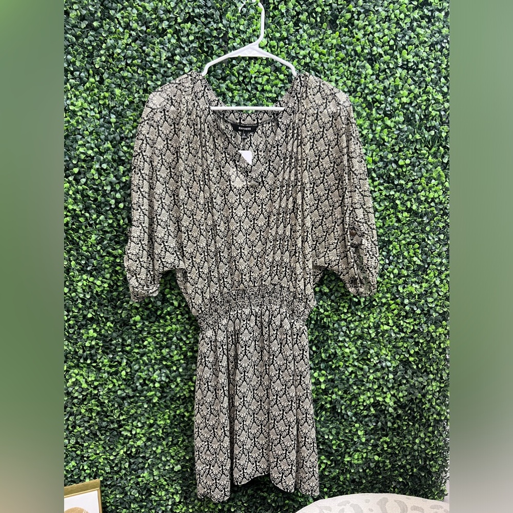 Express Small Dress